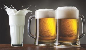Protectores de animales dicen que consumir cerveza es mejor que la leche