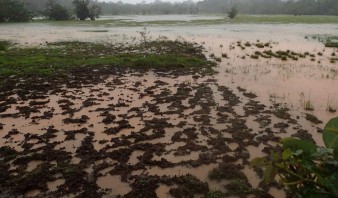 Confirman al menos tres fallecidos por el huracán Otto en Costa Rica