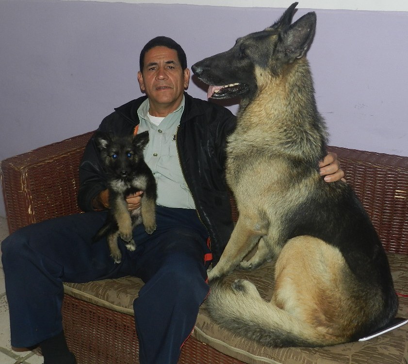 Brigada canina del Iapatmi activa para las festividades pascuenses