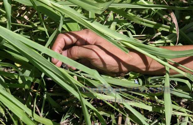 [:es]Encontraron dos cuerpos sin vida en El Brujo[:]