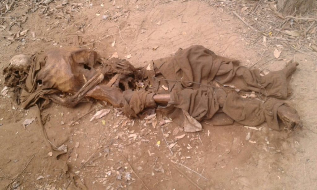 GNB localizo osamenta humana