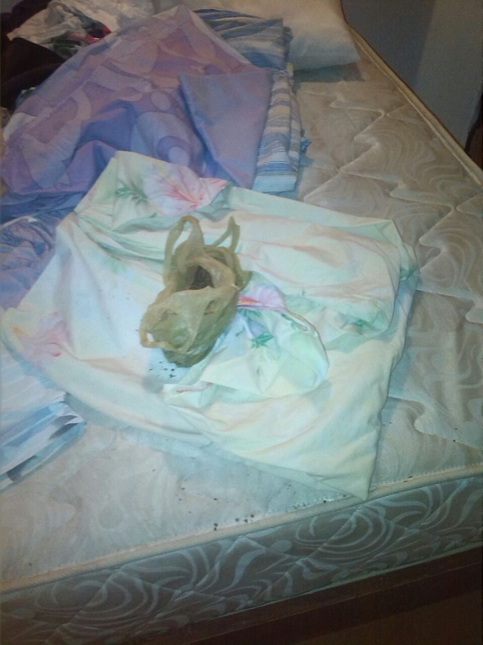 Mama de “El Picure” fue detenida con media panela de droga en el Palmar III