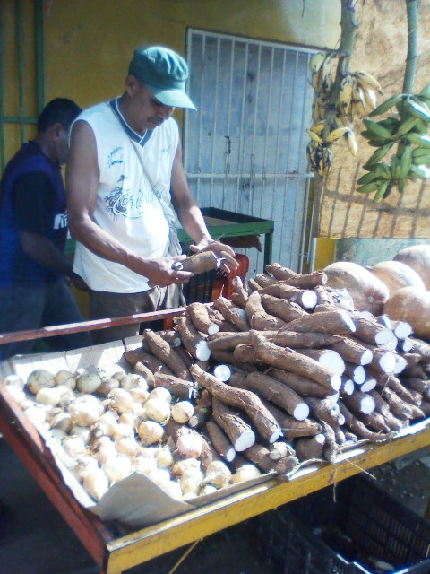 En la Pascua no se ha reportado casos de envenenamiento por ingesta de yuca amarga