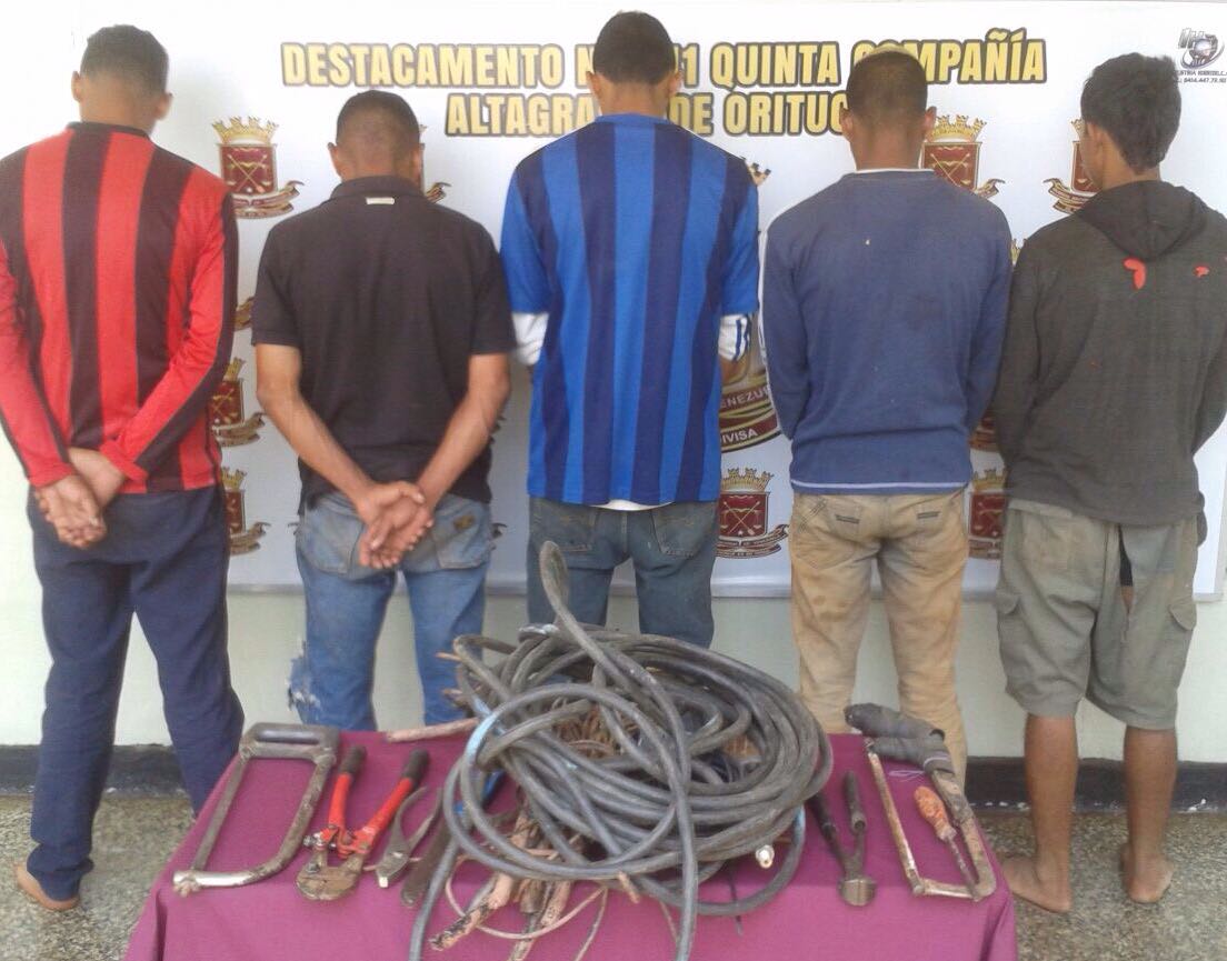 D341 desarticuló banda dedicada al hurto