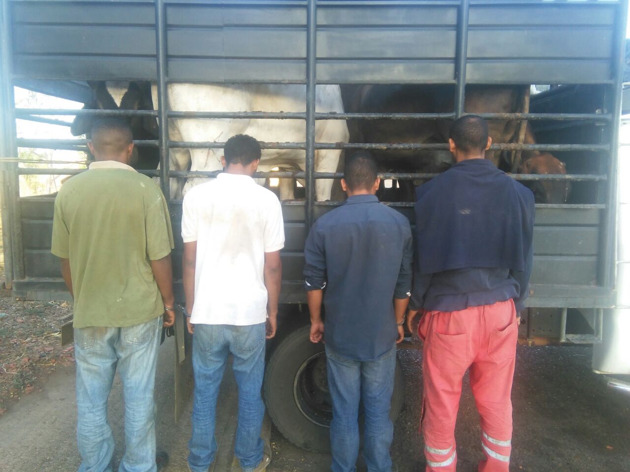 Arrestados ladrones de ganado en La Pascua