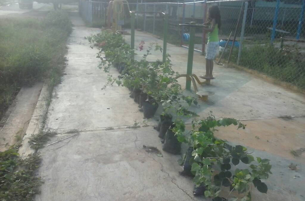 [:es]Vecinos del sector Alfallanos realizaron jornadas de arborización[:]