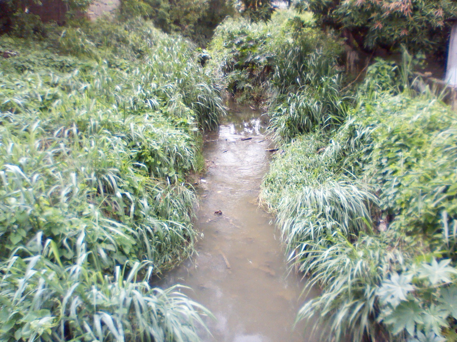 [:es]Quebrada La Danta requiere de ampliación ante la llegada de las lluvias[:]