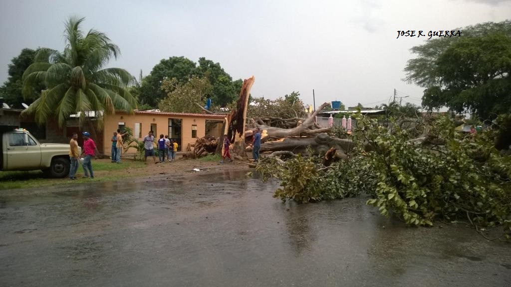 [:es]Fuertes vientos causaron destrozos en diferentes sectores de La Pascua[:]