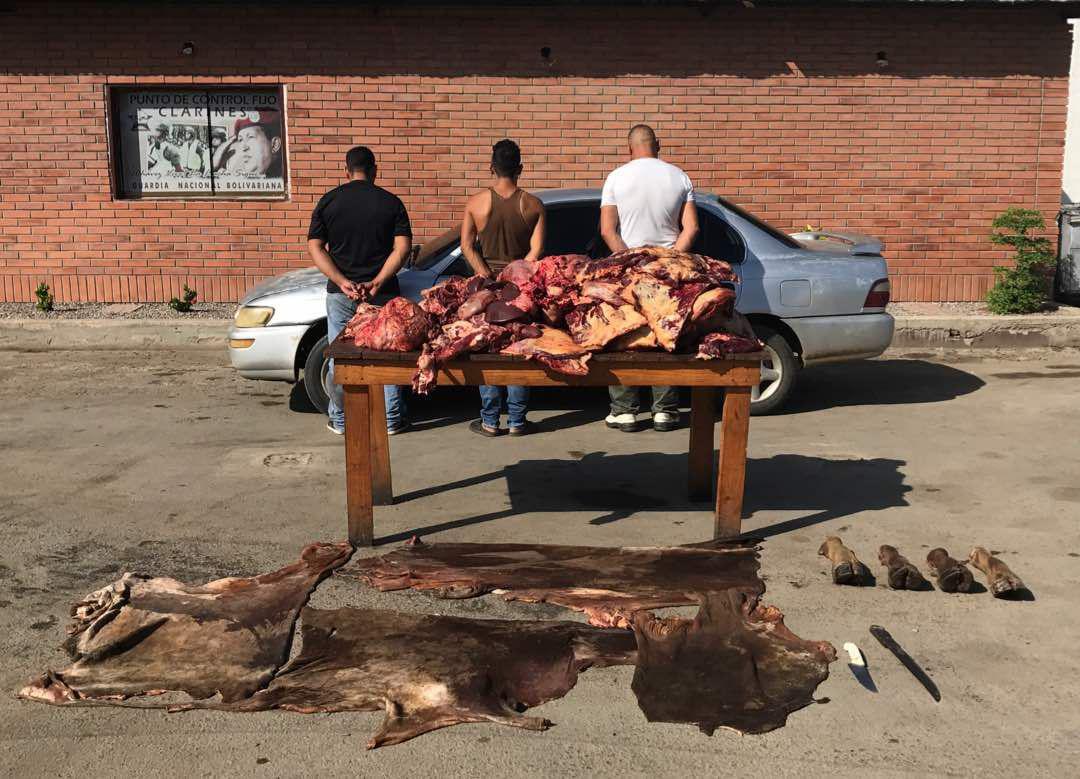 [:es]GNB desmantela banda de cuatreros en zona oeste Anzoátegui[:]