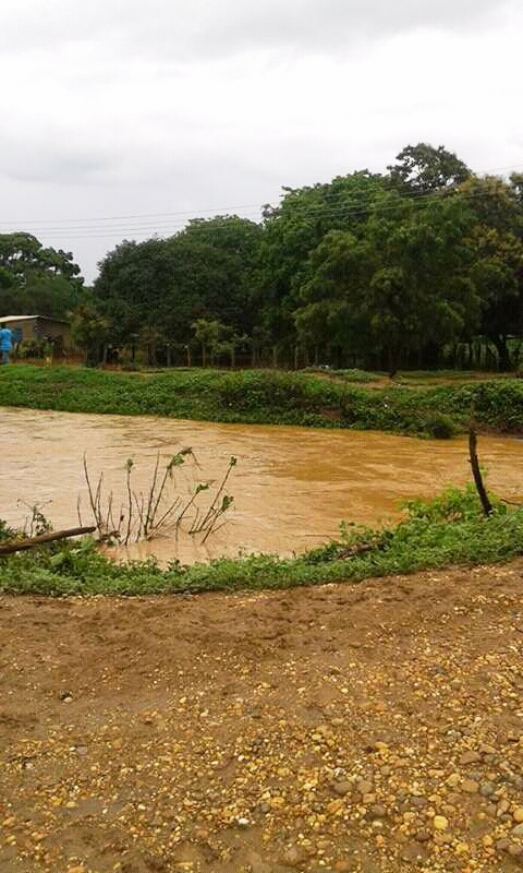 [:es]El Tamanaco inundo a los caserios La Represa y Arenita en Tucupido[:]