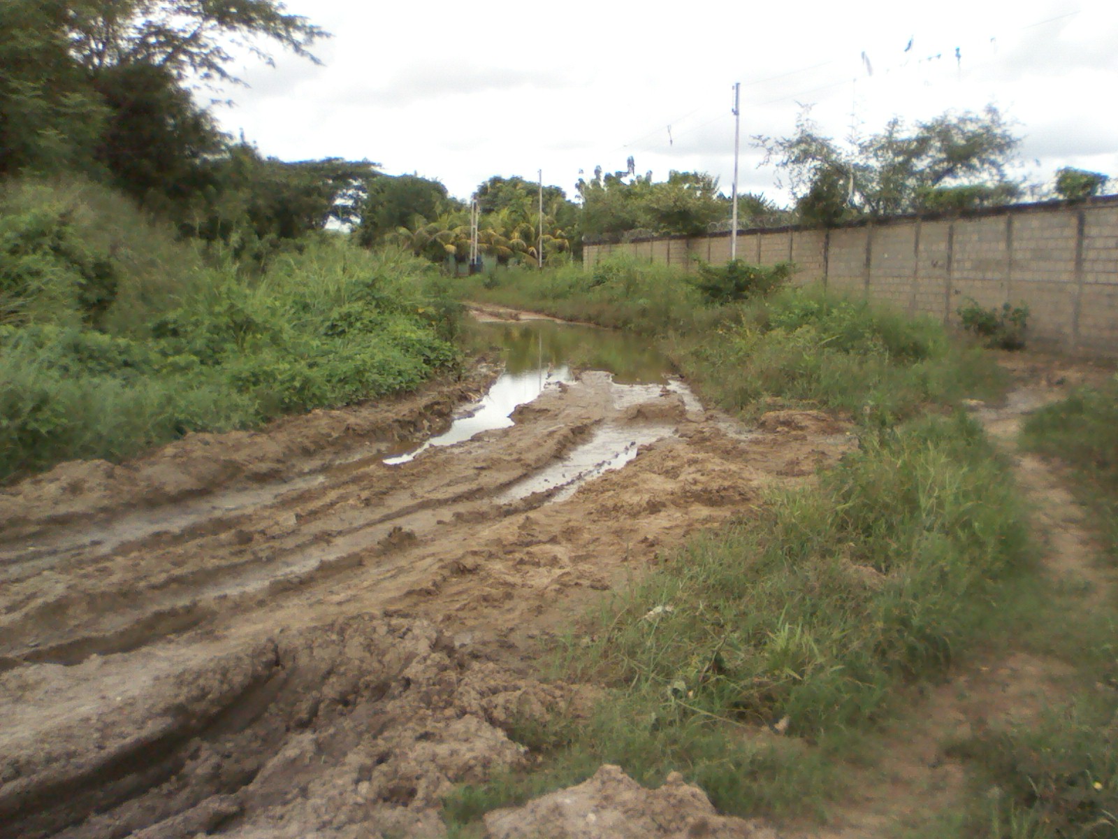 [:es]Calles del sector La Tormenta están a punto de desaparecer[:]