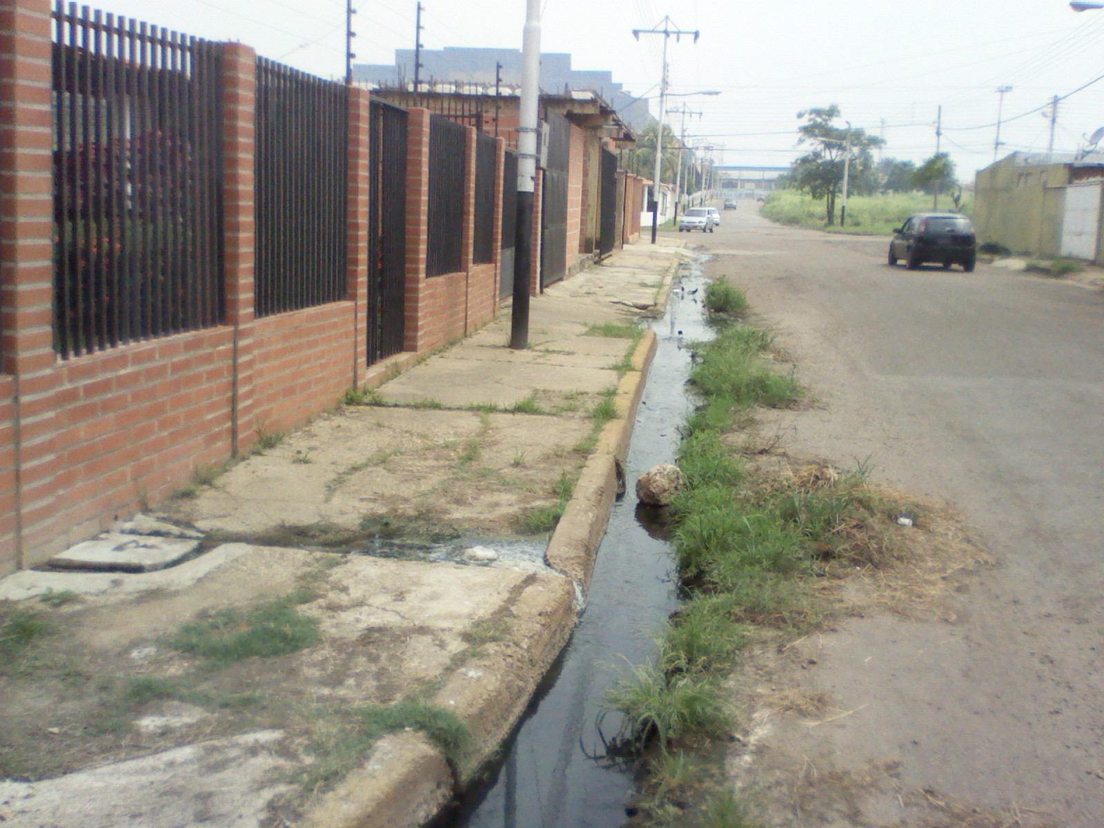 [:es]En la urbanizacion Vipedi la red de aguas servidas lleva dos años colapsada[:]