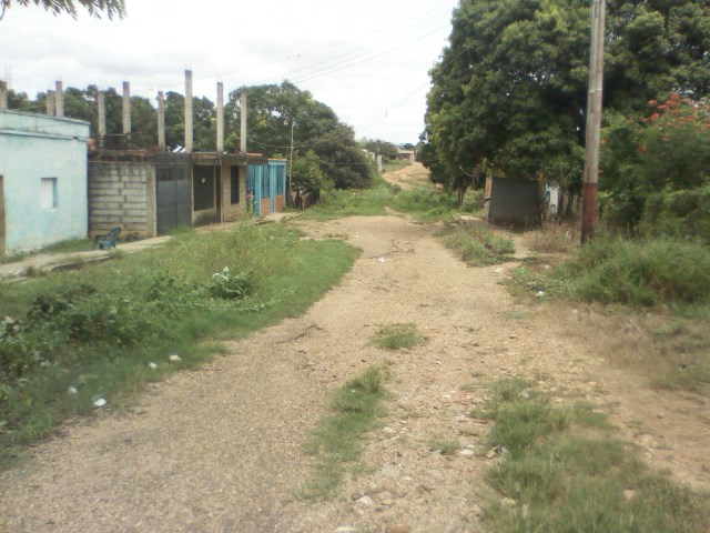 [:es]Vecinos del sector Alfallanos viven entre penurias por falta de servicios publicos[:]