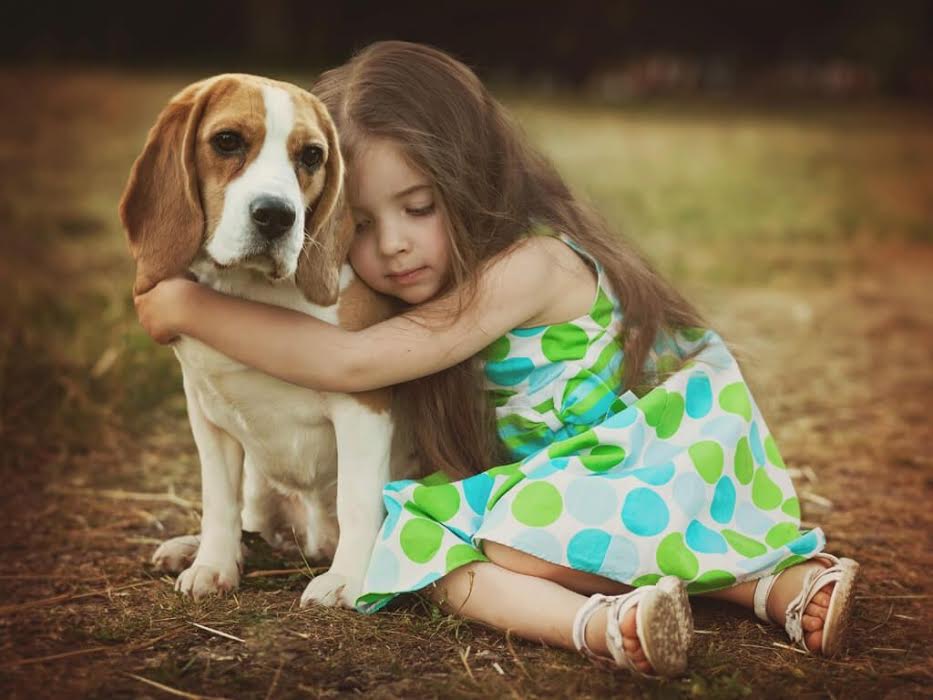 [:es]¿Sabes como superar la perdida de una mascota?[:]