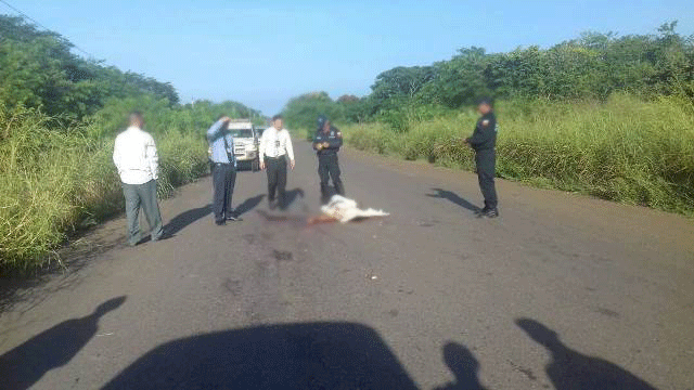 [:es]Lo mato un carro que se dio a la fuga[:]