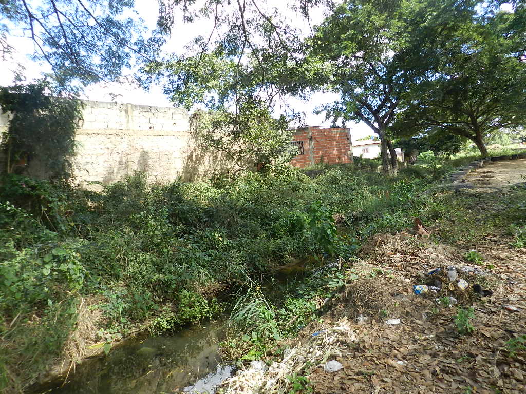 [:es]“Llenas de huecos” están las calles de La Agustina[:]