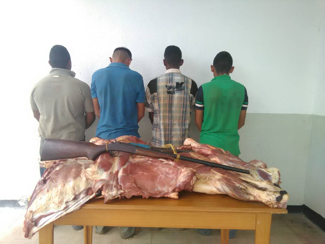 D343 desmanteló grupo dedicado al robo de ganado en El Socorro