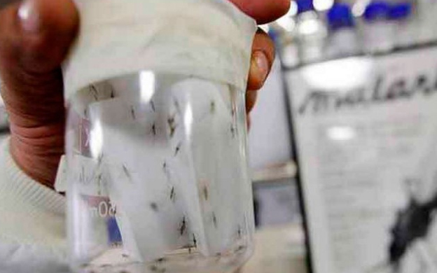 [:es]Se realizó El foro Malaria de las Américas 2017 en Washington D,C.[:]