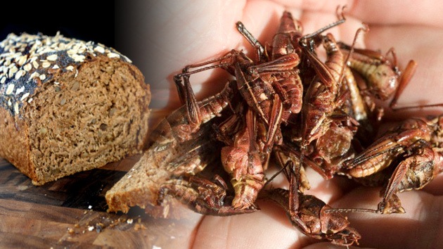 [:es]Sale al mercado del consumidor el primer pan con insectos [:]