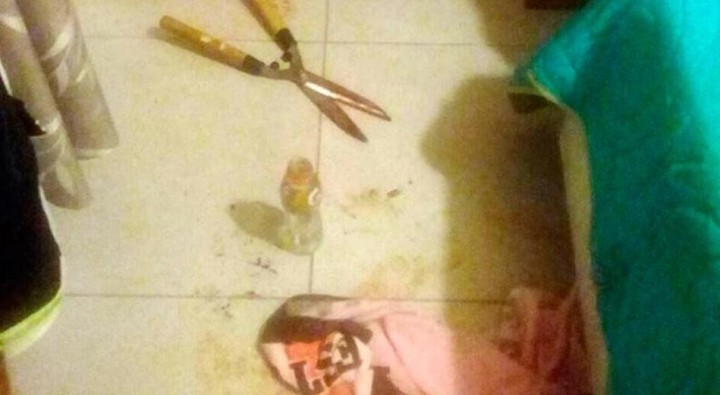 [:es]La chica que le cortó el pene a su amante, esta siendo tratada psicologicamente[:]