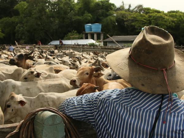 [:es]Unesco pide proteger cantos de los llanos de Colombia y Venezuela[:]