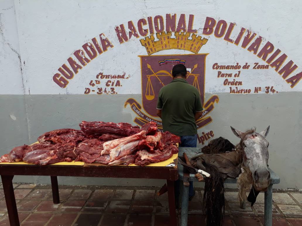 [:es]Hombre que comercializaba carne de caballo fue capturado.[:]