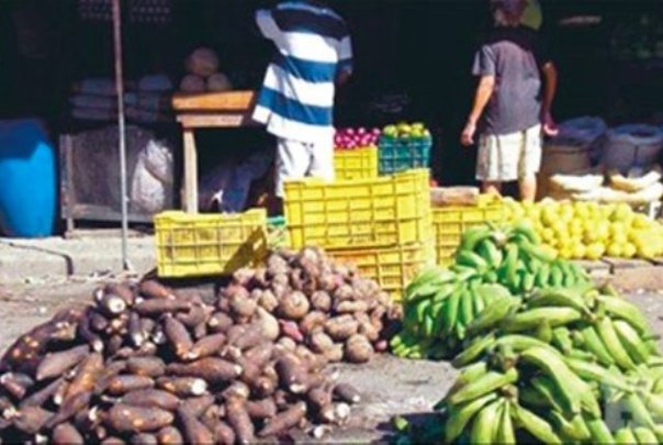 [:es]Bueno es yuca y plátano a falta de otros rubros alimenticios [:]