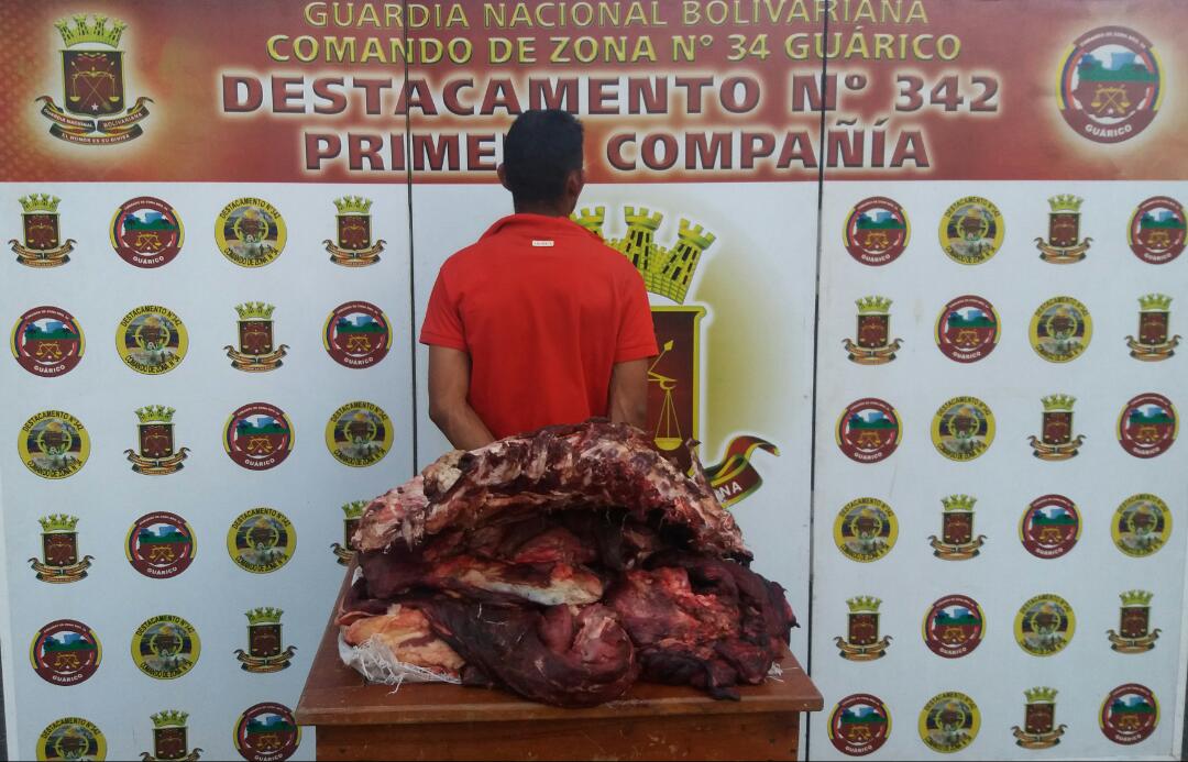 [:es]Cuatreros siguen haciendo fiesta en Guárico[:]