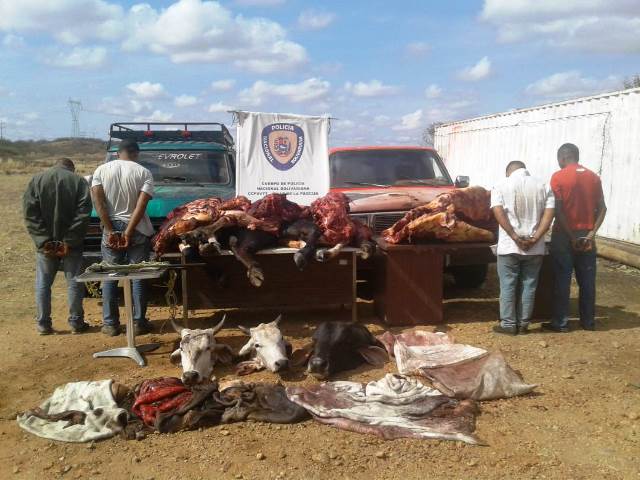 [:es]4 hombres capturados luego de robar reses en finca de Valle de la Pascua[:]