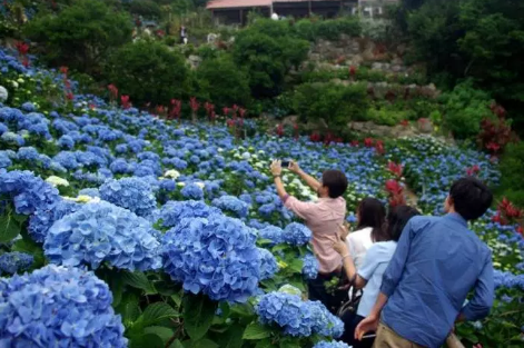 [:es]El secreto de la longevidad bien guardado en algunos lugares que se niegan a envejecer.[:]