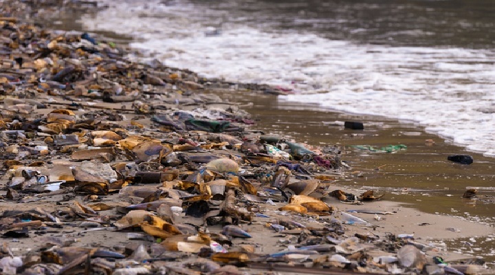 [:es]Cambio climático,  todos a luchar[:]