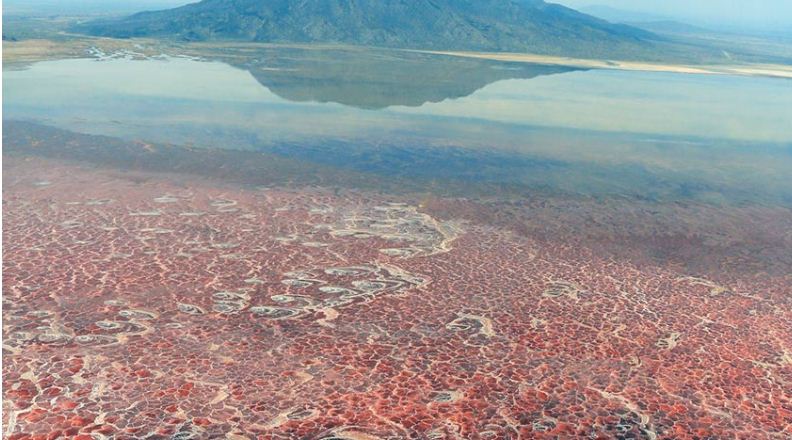 [:es]Extraños y únicos, 8 lagos impresionantes[:]