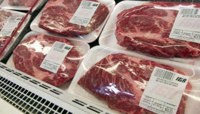 [:es]Se un experto reconociendo a los alimentos en mal estado[:]