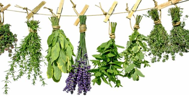 [:es]Remedios eficaces que te ayudan a mantenerte alejado de los bichos[:]