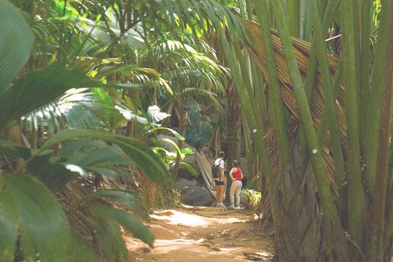 [:es]Sorprendentes maravillas del paraíso tropical Seychelles[:]