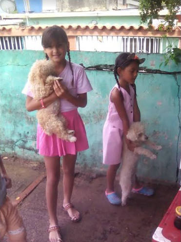 [:es]Misión Nevado atendió a perros de Cristo Rey[:]