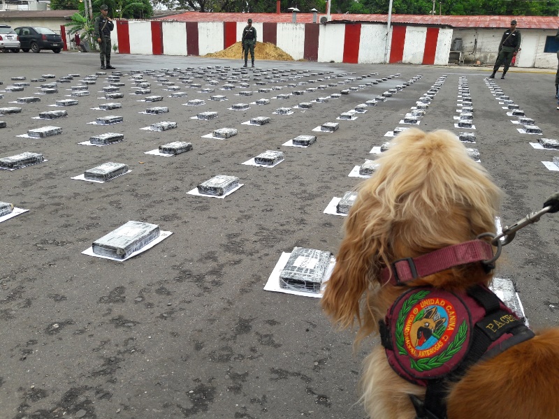 [:es]GNB da tercer golpe al narcotráfico en menos de 10 días en Anzoátegui[:]