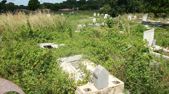 [:es]Convertido en una selva se encuentra el Cementerio Municipal de Valle de la Pascua[:]
