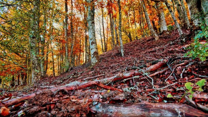 [:es]La Sierra Madrileña la ruta de ensueño del Rincón[:]