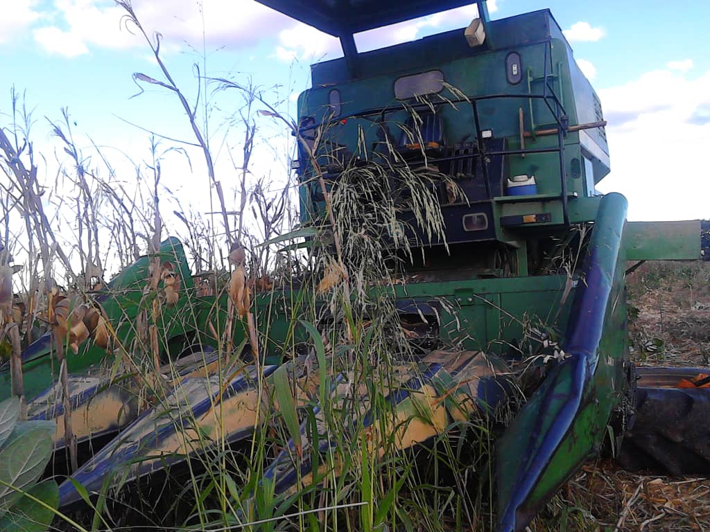 Trabajador murió al caer de una cosechadora