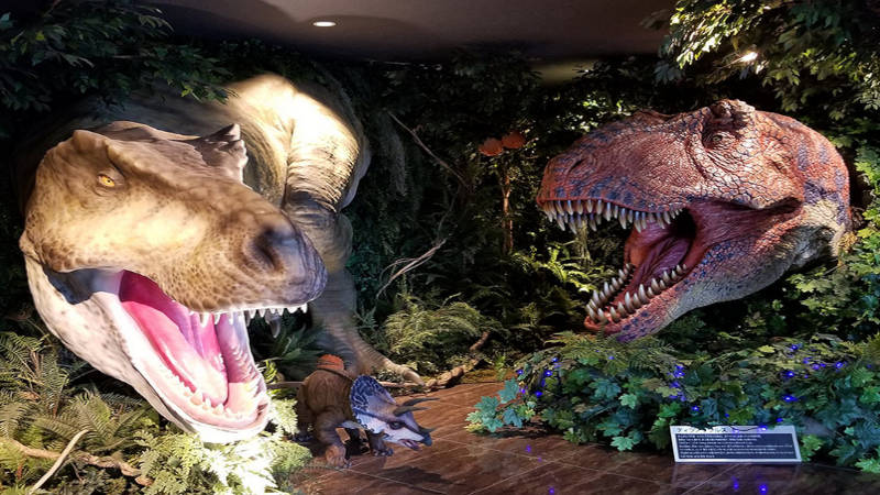 Un sueño cumplido. Los hoteles temáticos de Japón