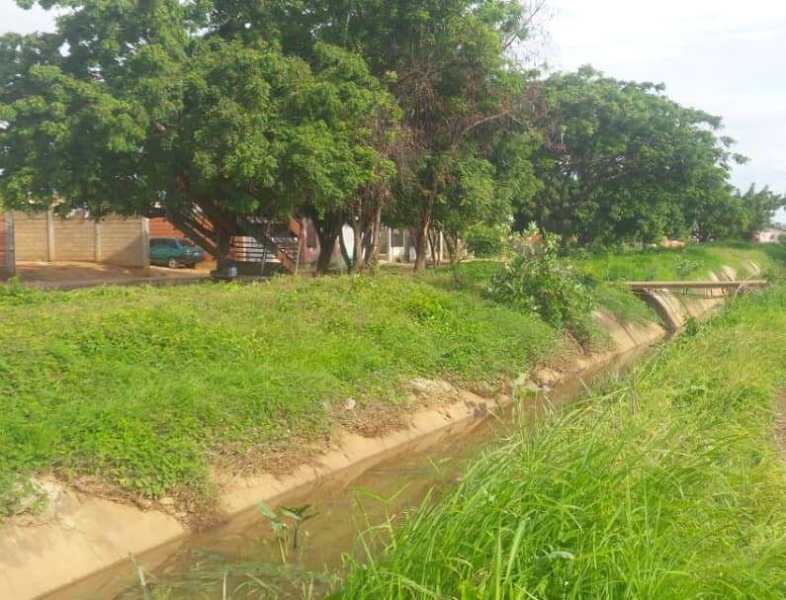 En Autoconstrucción habitantes viven agobiados con los problemas existentes