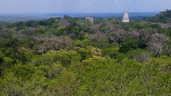 Tikal, de los mayas en Guatemala para el mundo