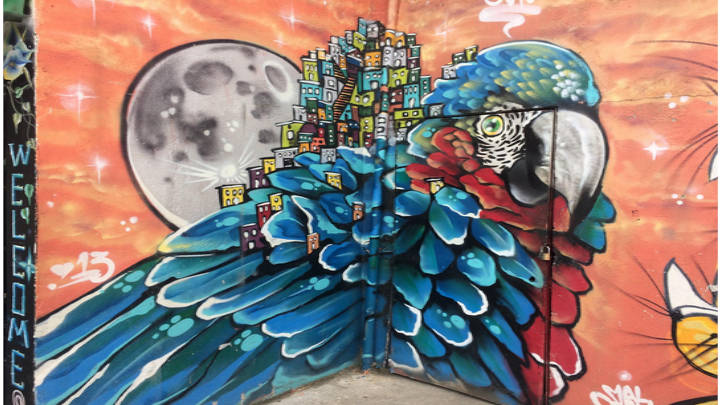 Descubre en Medellín, Colombia, la eterna primavera