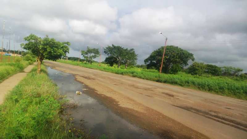 Monte, culebra y huecos es lo que se consigue en la avenida Monseñor Rafael Chacin Soto