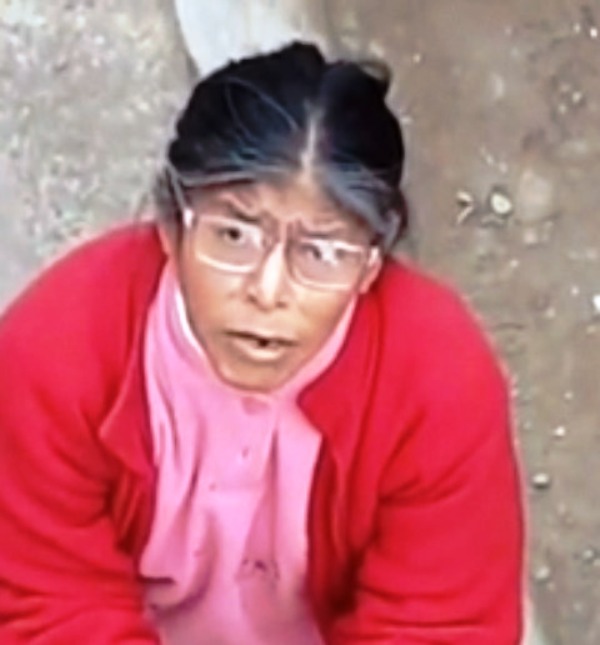 Mujer peruana no aceptó que un venezolano le resolviera un problema electrico