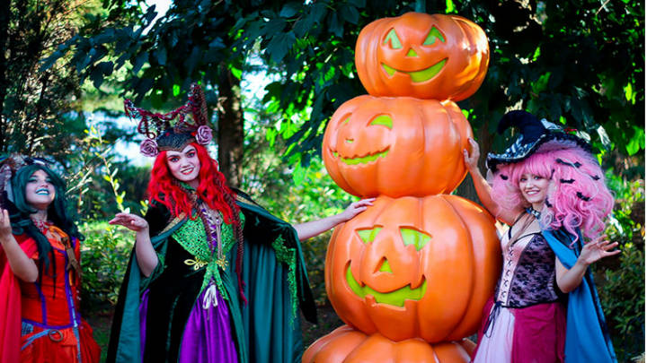 [:es]Vive tu escalofriante Halloween este año en tierras de España[:]