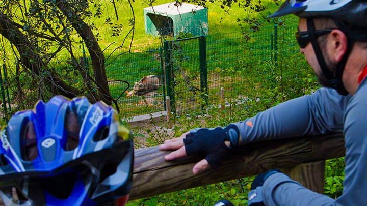 [:es]Destino: La Senda del Oso, en bicicleta[:]