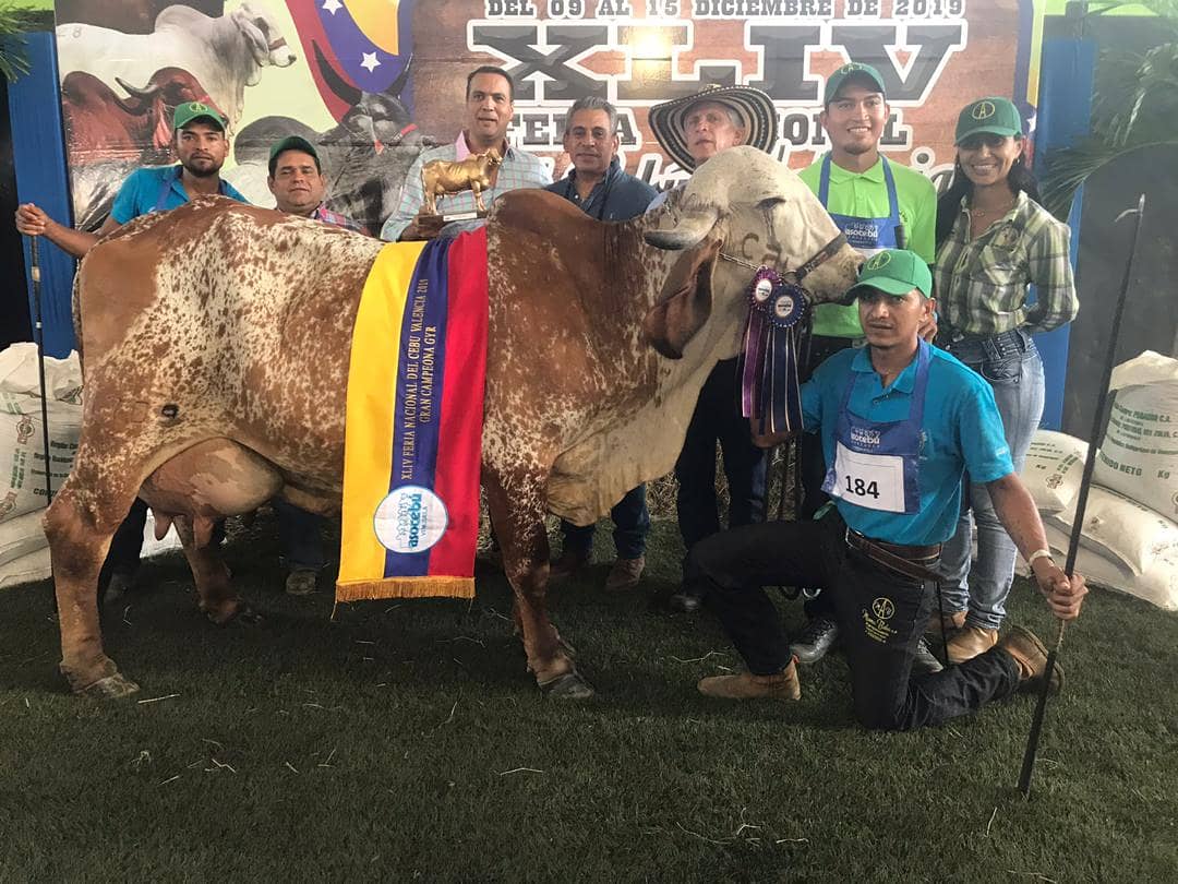 [:es]Vaca Iguana estableció récord nacional en competencia lechera de la Feria Nacional Asocebu[:]