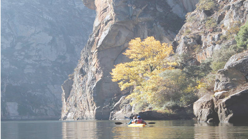 Experiencias únicas en kayak y kitebuggy